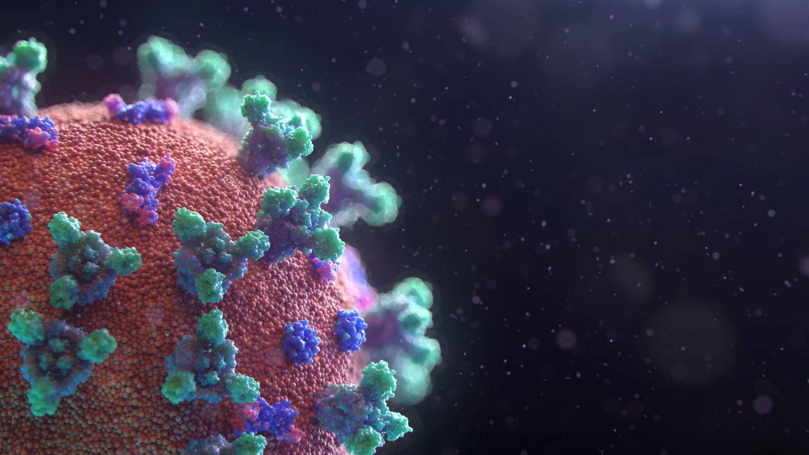 How to manage a workforce in the face of a pandemic fusion-medical-animation-EAgGqOiDDMg-unsplash